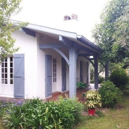 Appartement De Vacances Avec Jardin A 타노 외부 사진